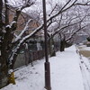 雪が積ったら、シャッターチャンスなのです！