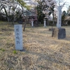 勝山城と桜