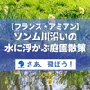 【フランス・アミアン】ソンム川に沿って『水に浮かぶ庭園』Les Hortillonnages を散策