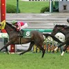 日曜競馬　回顧