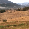 丸山千枚田