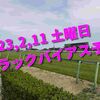 2023,2,11 土曜日 トラックバイアス予想 (東京競馬場、阪神競馬場、小倉競馬場)
