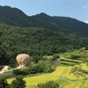 瀬戸内国際芸術祭〜小豆島〜