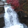 雨と紅葉