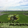 7月10日