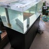 W90cmアクリルオーバーフロー水槽＆お礼【ペットバルーン・中古品・ADA・買い取り・大阪】