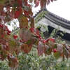 秋の上野は芸術の秋 (その4)