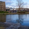 桜台公園の池（神奈川県横浜）