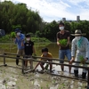 ６／５　田植え
