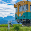 色づく稲穂と地鉄電車