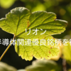 リオン｜隠れた半導体関連優良銘柄を徹底解説