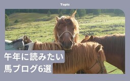 中山競馬場からイギリス、モンゴルまで！ 午年に読みたい馬ブログ6選