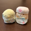 8月に受けた婦人科検診結果