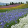 笑顔と言霊（ことだま）。