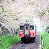 第1111話　1995年津軽：綺麗な桜と煤けた気動車（その２）