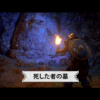 11月12日隠しコンテンツについて更新　え！？嘘やろ！？『アサシンクリード:ヴァルハラ 死した者の墓」感想