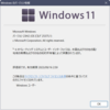 Windows 11 Insider Preview Build 25375.1 (zn_release)