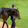 2022.2.19(土)今日のJRA勝負メイン結果 阪神・東京