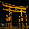 ライトアップされた厳島神社の大鳥居
