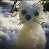 雪猫と リアルワイルド