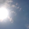 晴れ☀　家の中でごそごそ^_^;