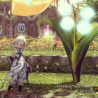 Ff14 蛮族クエスト報酬 アニマウエポン素材まとめ Ff14blog Ff14 蛮族クエスト報酬 アニマウエポン素材まとめ Ff14blog