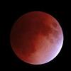 2021年11月の月食（Lunar Eclipse）。シドニーでは？