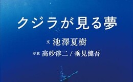Go to entry