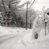 大寒だべ、雪も積もったなあ