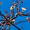 天地和合のみたまとして〜