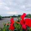 懐かしい未来の島