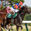 競馬初心者必見☆馬券予想🔥〜レパードS〜大荒れの予感も‥‥