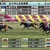 【エリザベス女王杯2025】6歳牝馬ライラック大健闘