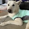 それは突然に
