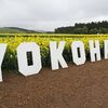横浜町の菜の花畑を見に行きました。