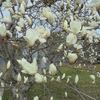 天福寺裏山林道→釜尾周回2025.3月