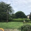 稲荷塚