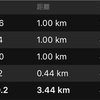 10kmペース走