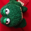 🐢新しいけろりすたん人🐢