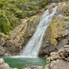 大川の滝 滝壺（鹿児島県屋久島）