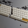 天キーVol7に持っていくキーボードを解説するよ！