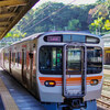 静岡蹂躙鉄道旅