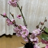一生の思い出