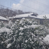 Fri.　大雪