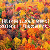 【第14回 じぶん年金便り】2019年11月末の運用状況