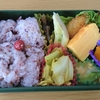 3月25日　お弁当