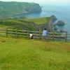 隠岐の島情報（西ノ島）