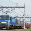 JR型電気機関車牽引の貨物列車