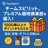 【朗報】チームスピリットが株主優待制度を新設！1,000株以上でポイント進呈へ✨