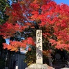 2020 紅葉の比叡山延暦寺　③東塔エリア  